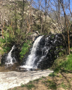 1597402214 captura de pantalla 2020 08 14 a les 124748