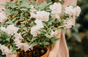 1632812540 pexels dmitriy ganin 7760789 min 