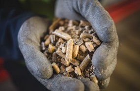 biomass wood pellets drax biomass wood pellets drax