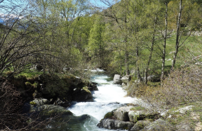 captura de pantalla 2025 03 19 a les 115901 captura de pantalla 2025 03 19 a les 115901