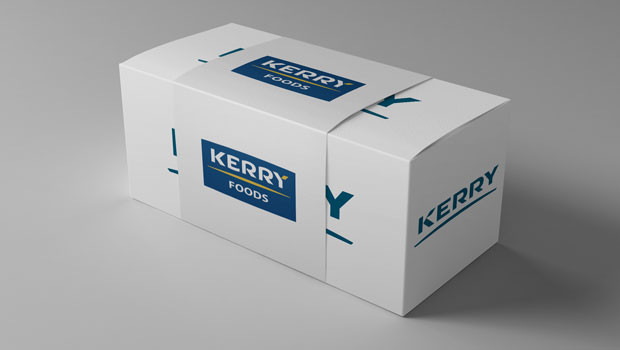 dl kerry group food company manufacturer logo