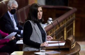 ep archivo la diputada del psoe esther pena camarero interviene en una sesion plenaria en el ep archivo la diputada del psoe esther pena camarero interviene en una sesion plenaria en el