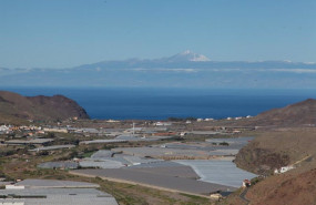 ep archivo   plantaciones agrarias en canarias