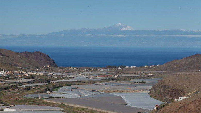 Archivo - Plantaciones agrarias en Canarias | GOBCAN - MAURICIO DEL POZO - Archivo ep archivo plantaciones agrarias en canarias