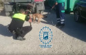 ep capturadodecinco perrosatacaronun hombreun poligonomalaga ep capturadodecinco perrosatacaronun hombreun poligonomalaga