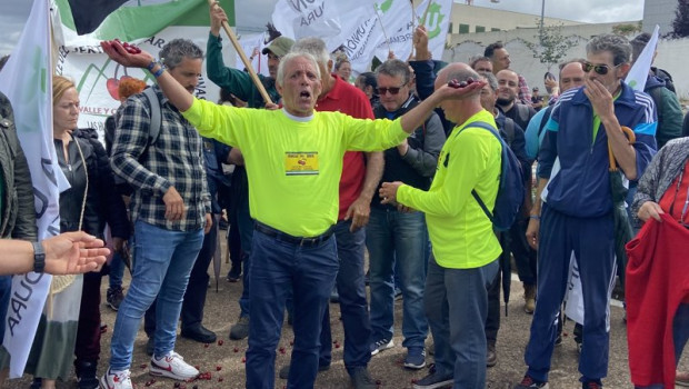 ep concentracion de cereceros del norte de caceres frente a la consejeria de agricultura en merida