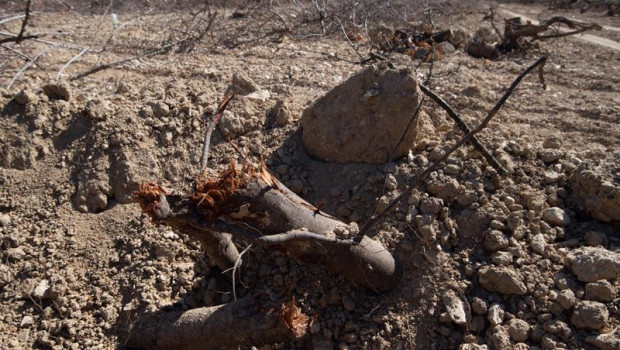 ep detalles de la tierra seca en murcia region de murcia espana