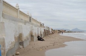 ep estadola playales devesesdeniatemporal