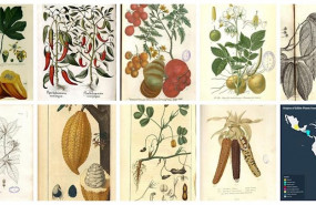 ep exposicion en el real jardin botanico del consejo superior de investigaciones cientificas