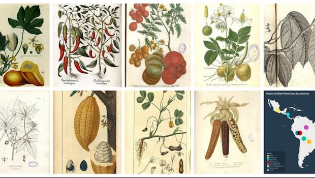 ep exposicion en el real jardin botanico del consejo superior de investigaciones cientificas