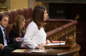 ep la diputada socialista esther pena camarero
