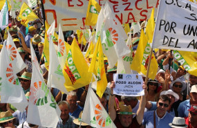 ep manifestacion del pasado julio en sevilla por la crisis de precios en origen del aceite de oliva