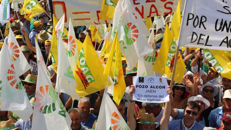 ep manifestacion del pasado julio en sevilla por la crisis de precios en origen del aceite de oliva