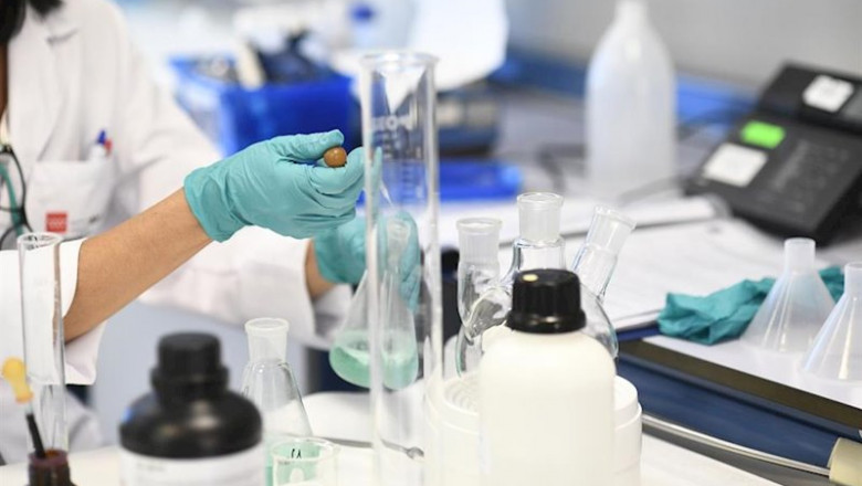 Una investigadora trabajando en el Laboratorio Regional de Salud Pública de la Comunidad de Madrid (Imagen de archivo) | Oscar Cañas - Europa Press - Archivo ep una investigadora trabajando en el laboratorio regional de salud publica de la comunidad de