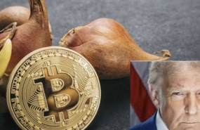 trumpcbtulipanes