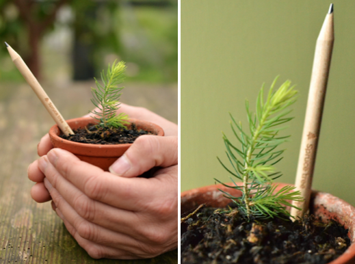 1606737668 captura de pantalla 2020 11 30 a las 125727