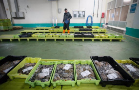 ep archivo   un operario de la lonja trabaja tras una salida a faenar del barco marineiro 2 a 27 de