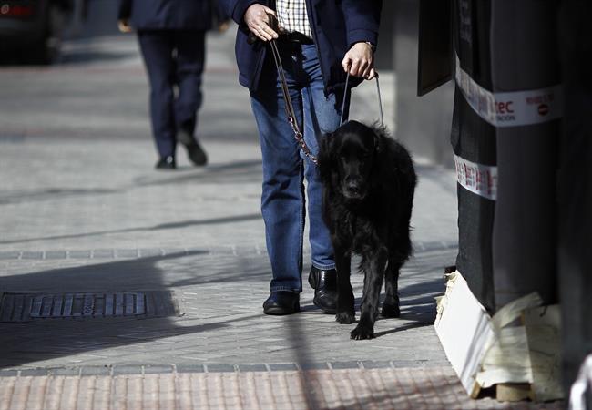 ep discapacidad discapacitado ciego personas ciegasperro guia lazarillo 20180604111201