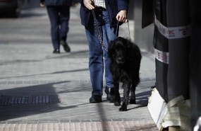 ep discapacidad discapacitado ciego personas ciegasperro guia lazarillo 20180604111201