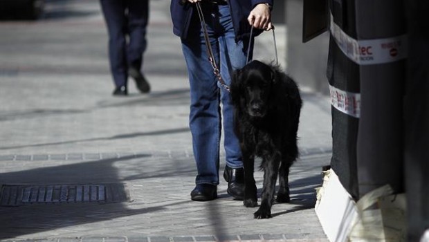 ep discapacidad discapacitado ciego personas ciegasperro guia lazarillo 20180604111201