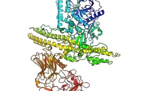ep estructurala primera neurotoxina botulinica