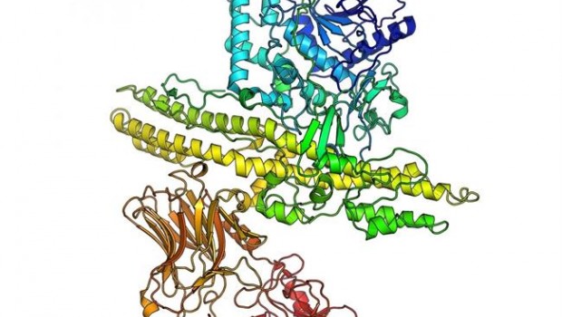 ep estructurala primera neurotoxina botulinica
