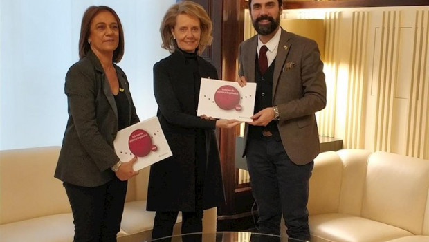 ep la consellera de cultura maringela vilallonga ha presentado el infrome al presidente del