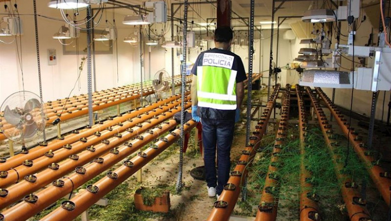 ep nota prensa e imagenes la policia nacional desmantela una plantacion indoor de marihuana y ep nota prensa e imagenes la policia nacional desmantela una plantacion indoor de marihuana y