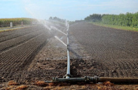 ep sistema de regadios