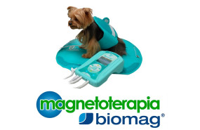 magnetoterapia biomag