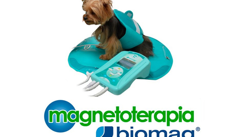 magnetoterapia biomag