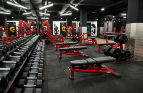 synergym 1 20221013141623 
