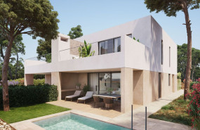 ydray bs 114 inmo inf rufa c2 12 1