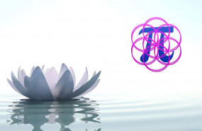 1622804985 conoces las terapias holisticas y sus beneficios