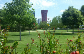 1645179880 pedrosa l hospitalet de llobregat