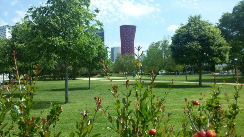 1645179880 pedrosa l hospitalet de llobregat