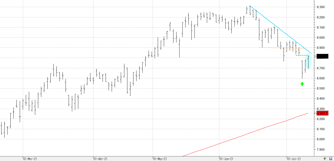 c120721ibex