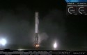 elon musk falcon spacex elon musk falcon spacex