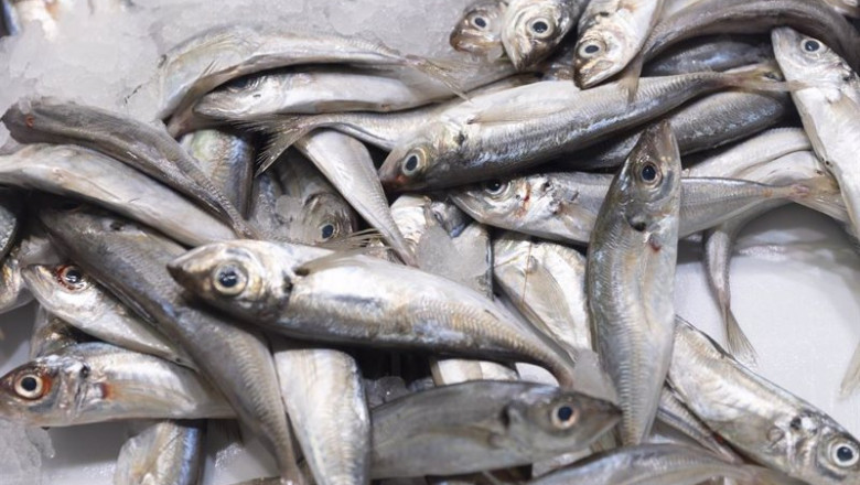 ep archivo bacaladillas en una pescaderia de un mercado ep archivo bacaladillas en una pescaderia de un mercado