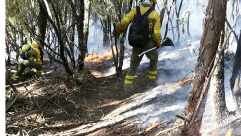 Bomberos forestales luchando contra las llamas en Canarias | MINISTERIO DE AGRICULTURA, PESCA Y ALIMENTACIÓN ep bomberos forestales luchando contra las llamas en canarias
