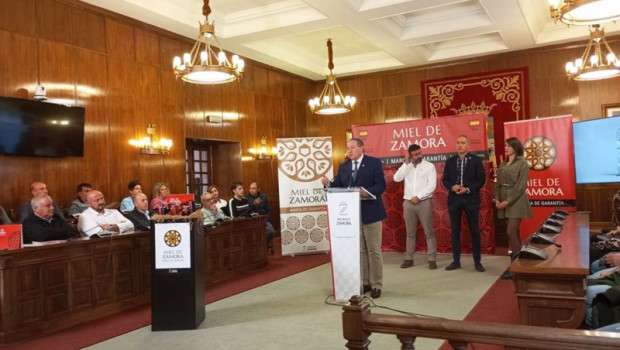 ep el presidente de la diputacion de zamora javier faundez durante su intervencion en la