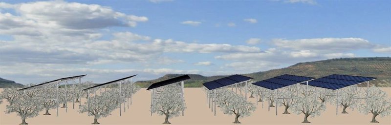 ep infografia del proyecto