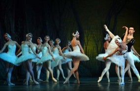 ep lagolos cisnes