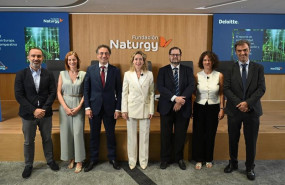 ep naturgy y deloitte piden simplificar las normas europeas de sostenibilidad para facilitar una
