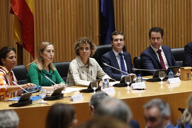 ep presidentepp pablo casado presidereunion plenariagrupo parlam