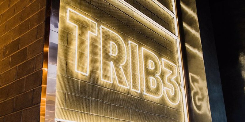 Trib3 | TRIB3 ep trib3