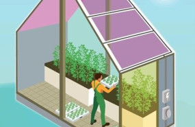 green rain solargreen rain solar