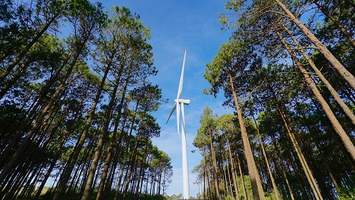 iberdrola parque eolico portugal