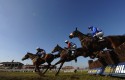 william hill horseracing horses racing william hill horseracing horses racing