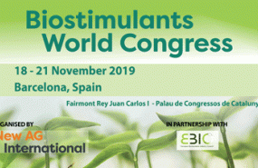 1574844893 original banner small